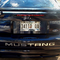 Mustang Stainless Steel Inserts (94-98)